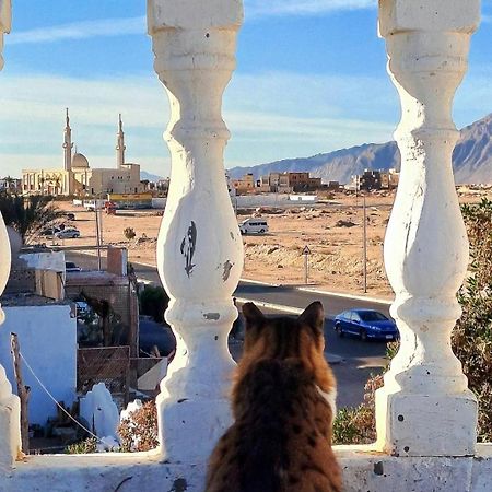 Tentania Dahab Dış mekan fotoğraf