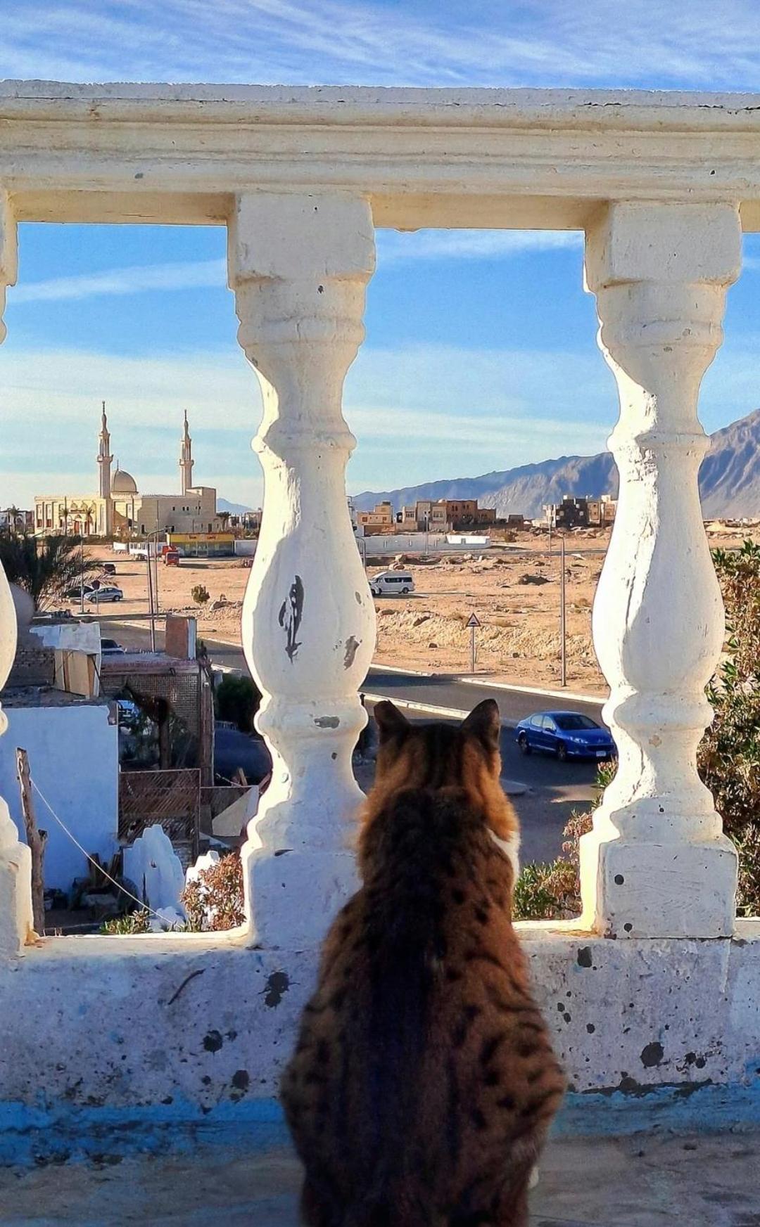 Tentania Dahab Dış mekan fotoğraf